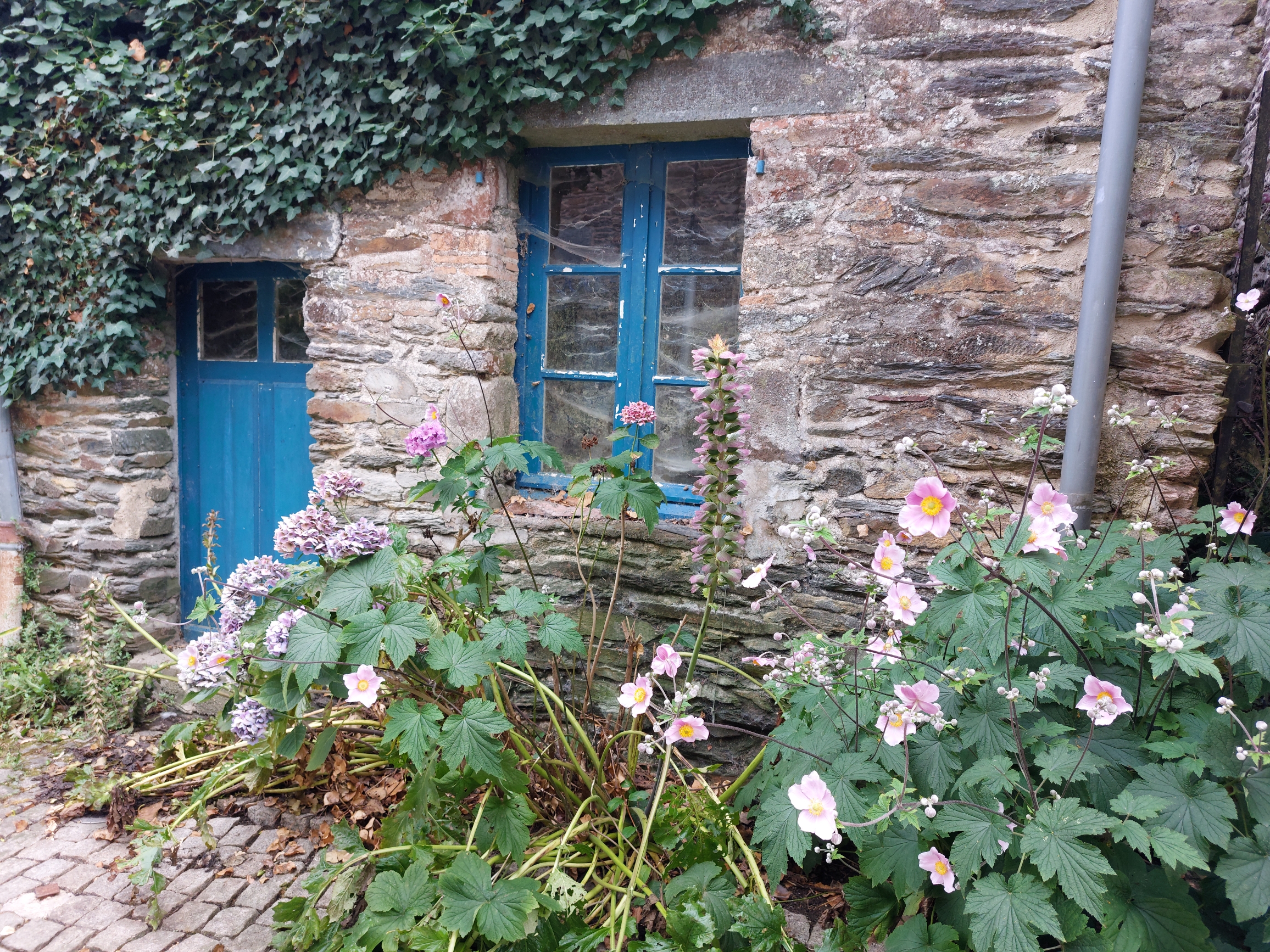 La Gacilly